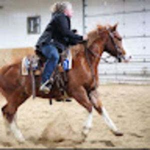 Meet your Posher, Kelly